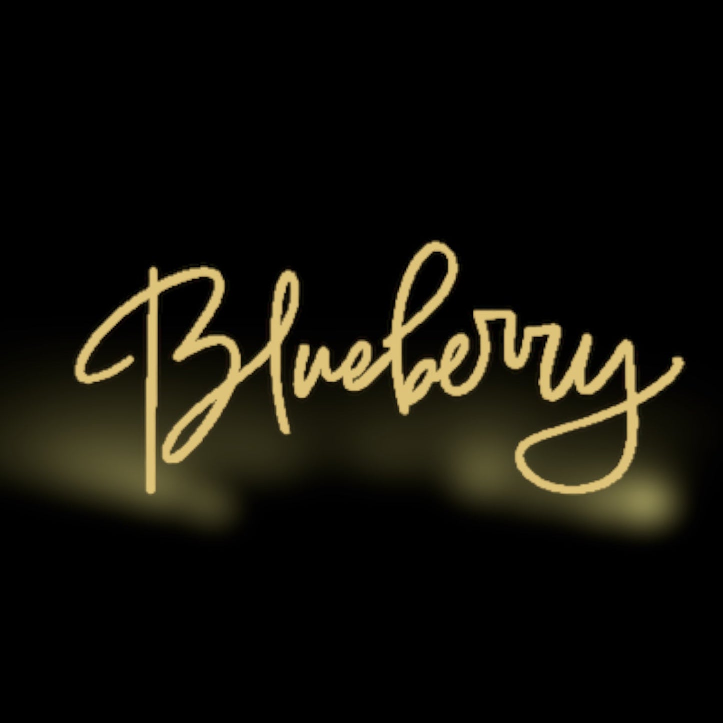 Blueberry Balsamic Vinegar - Strippaggio